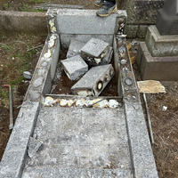画像742