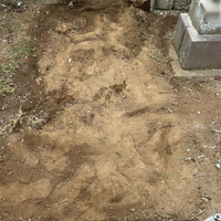 画像746