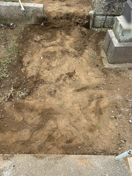 画像746
