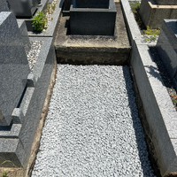 画像799