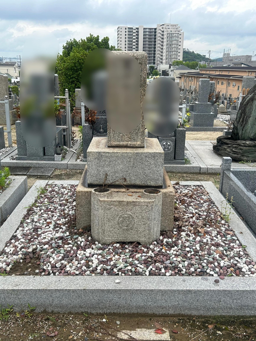 画像886
