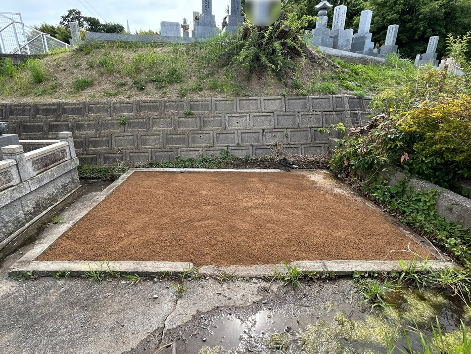 画像929