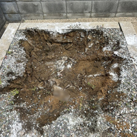 画像959