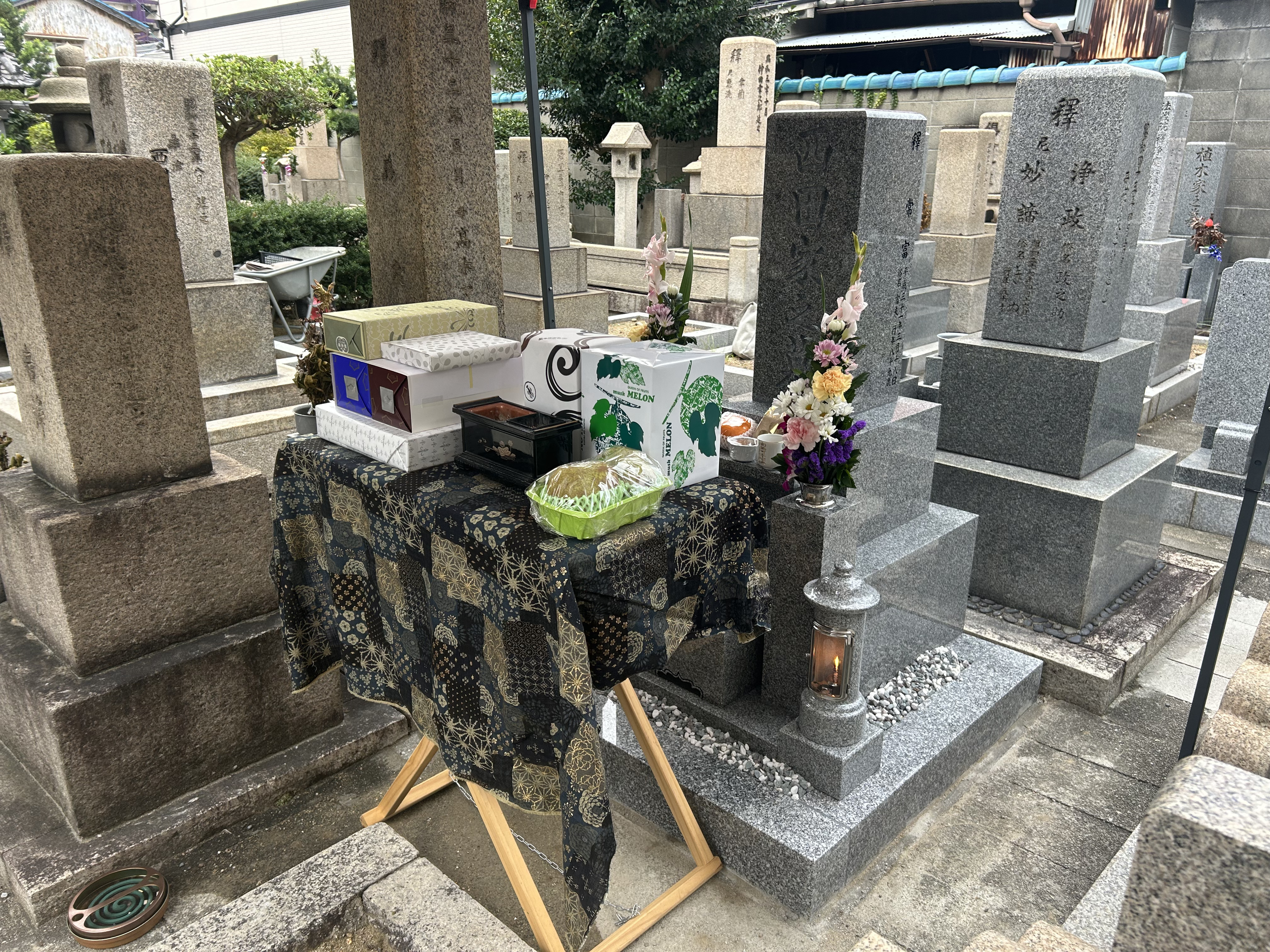 料金プラン