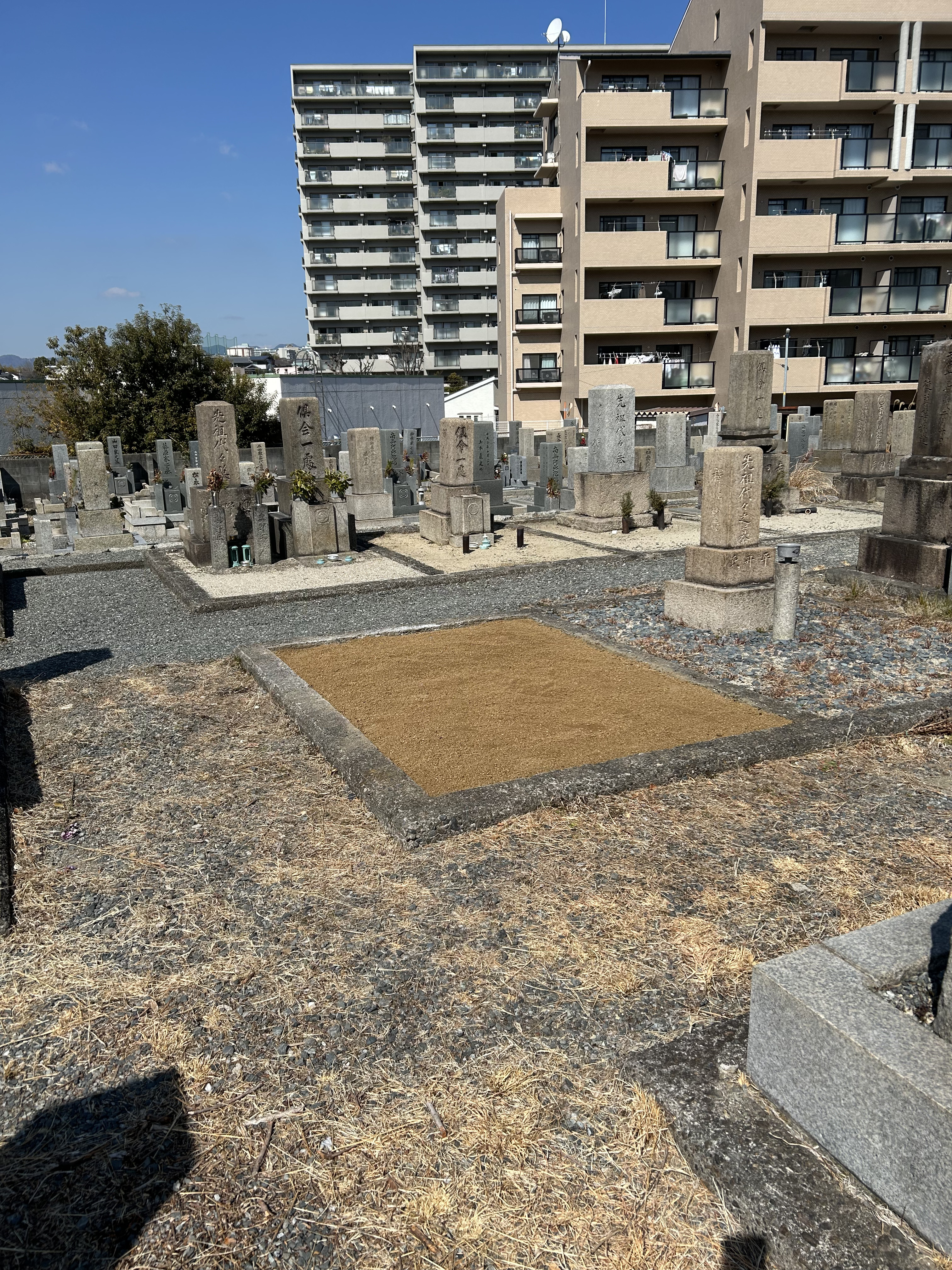 大阪市設服部霊園の魅力
